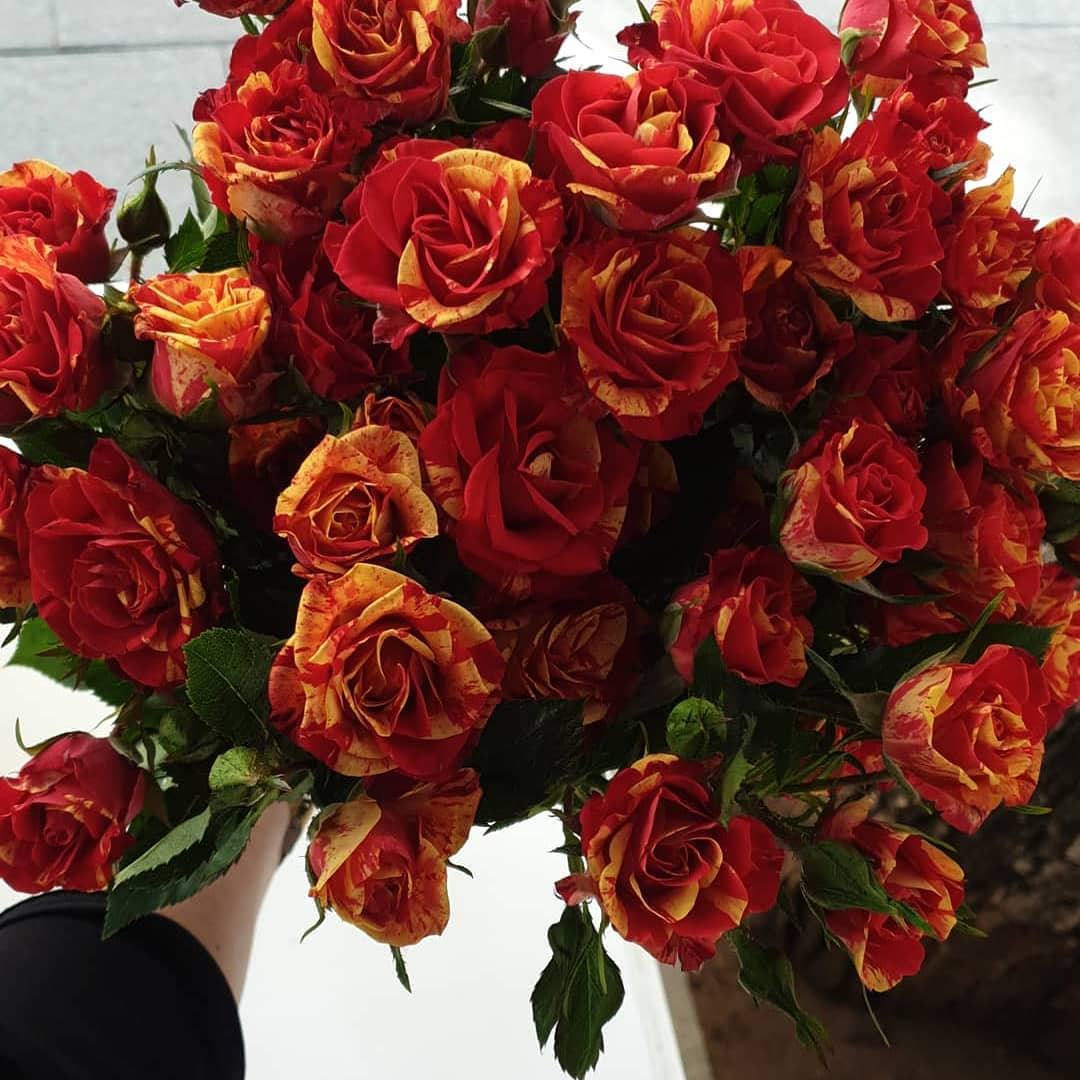flores con envio a domicilio en Marbella, España